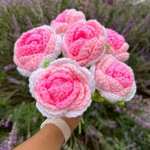 Meet your Posher, Li